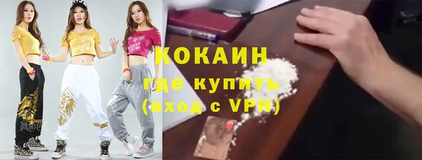 прущие грибы Краснотурьинск