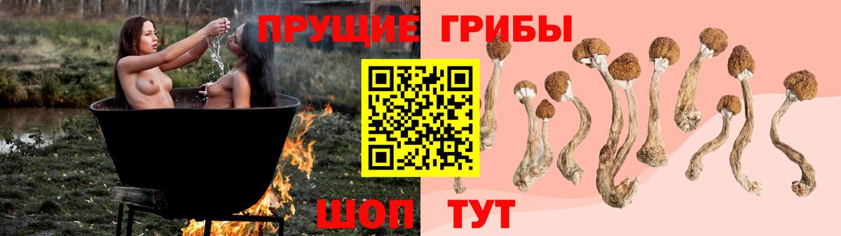 Псилоцибиновые грибы Psilocybine cubensis  Вход с VPN  Чистополь 